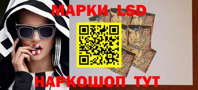шишки Обнинск