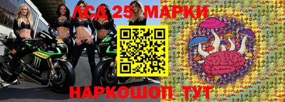 шишки Обнинск