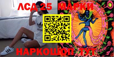 шишки Обнинск