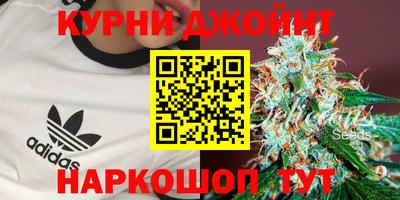 шишки Обнинск