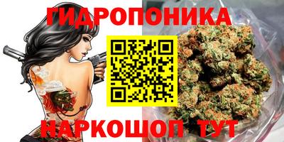 шишки Обнинск