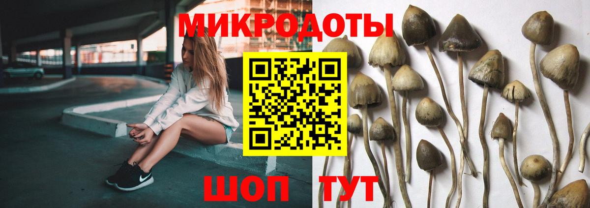 Псилоцибиновые грибы Psilocybe  Вход с VPN  Нижнеудинск 